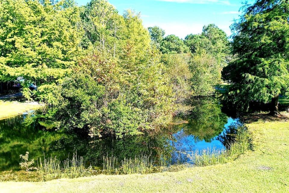 2704 Mt Carmel Road Walterboro, SC 29488 - Photo 8 of 53 242891472_10216488164831251_230716219604
