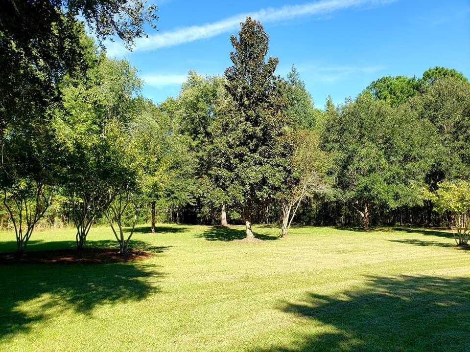 2704 Mt Carmel Road Walterboro, SC 29488 - Photo 9 of 53 242877448_10216488203472217_495177239775