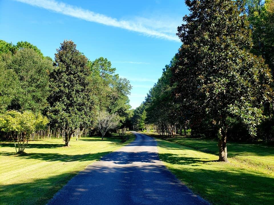 2704 Mt Carmel Road Walterboro, SC 29488 - Photo 10 of 53 242836871_10216488202832201_850341615099