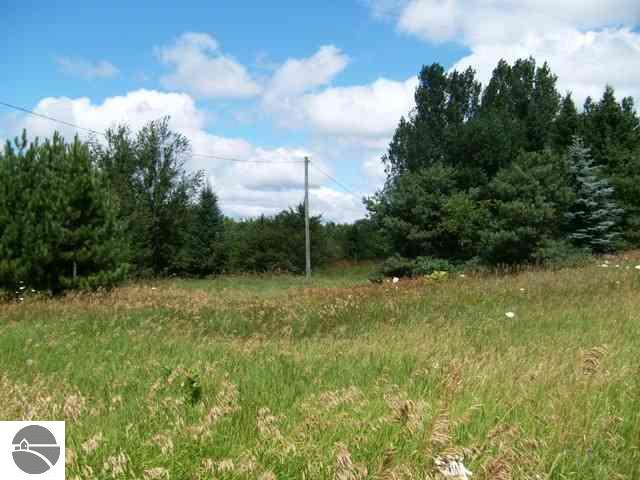 1781 Tyler Road Southeast Kalkaska, MI 49646 - Photo 2 of 25 1729140-1.JPG