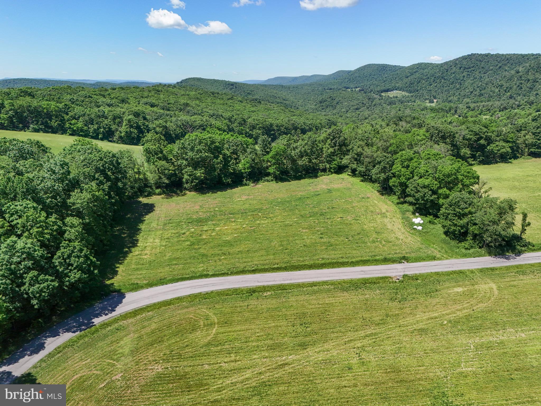 0 Steele Hollow Road Julian, PA 16844 - Photo 9 of 19
