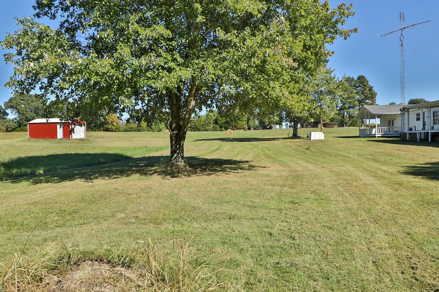 232 Matheny Grove Road Dresden, TN 38225 - Photo 19 of 21 a view of a yard with a house