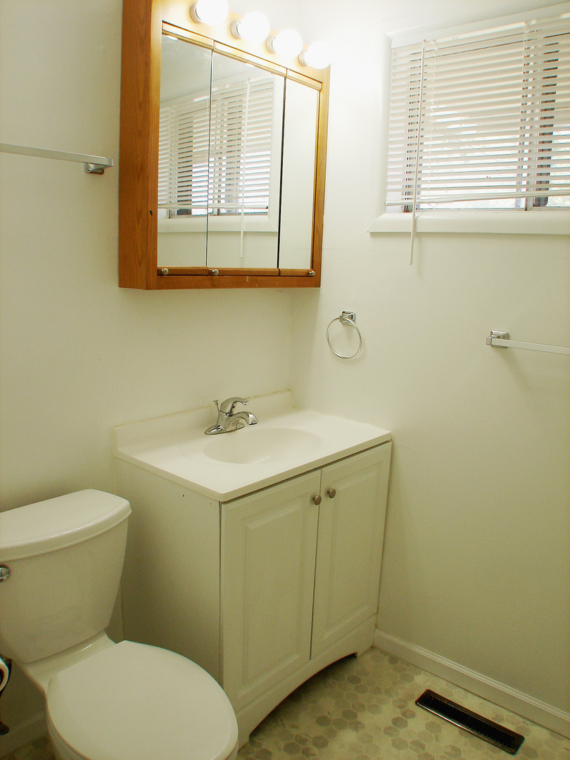 412 Allanson Road Mundelein, IL 60060 - Photo 16 of 28