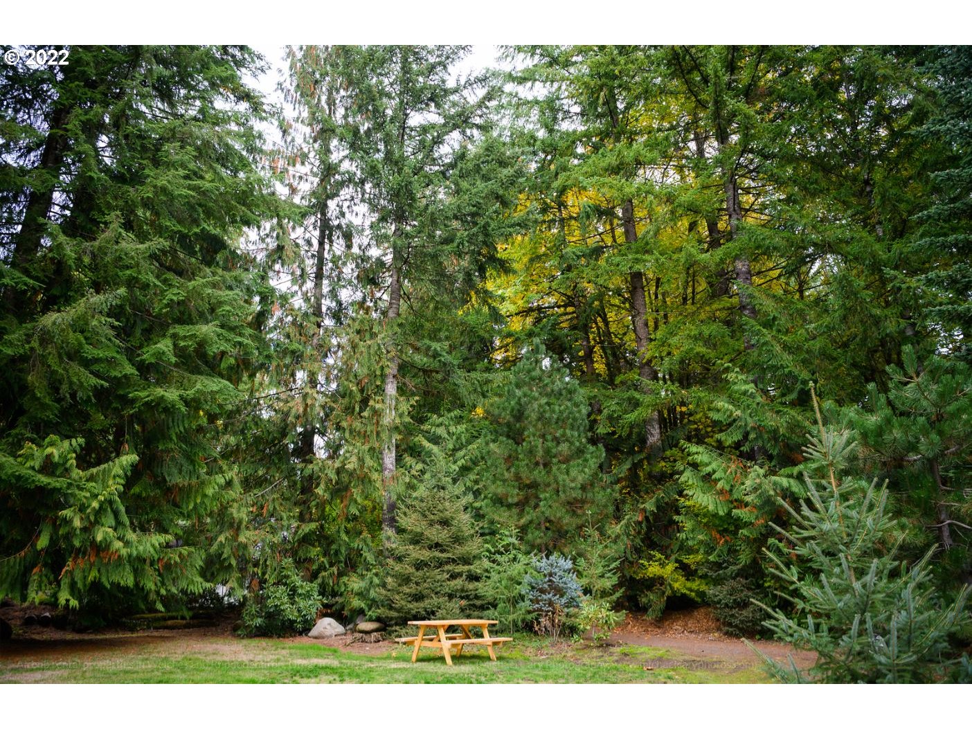 70406 East Terrace Drive Rhododendron, OR 97049 - Photo 3 of 32 a view of a yard