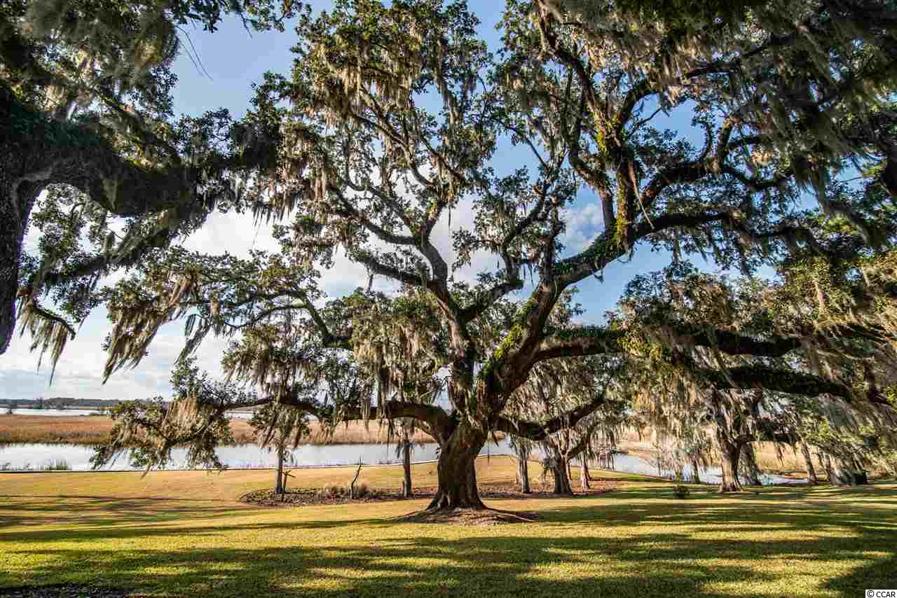 7 Lower Waverly Road Pawleys Island, SC 29585 - Photo 33 of 40 Gallery Image 33