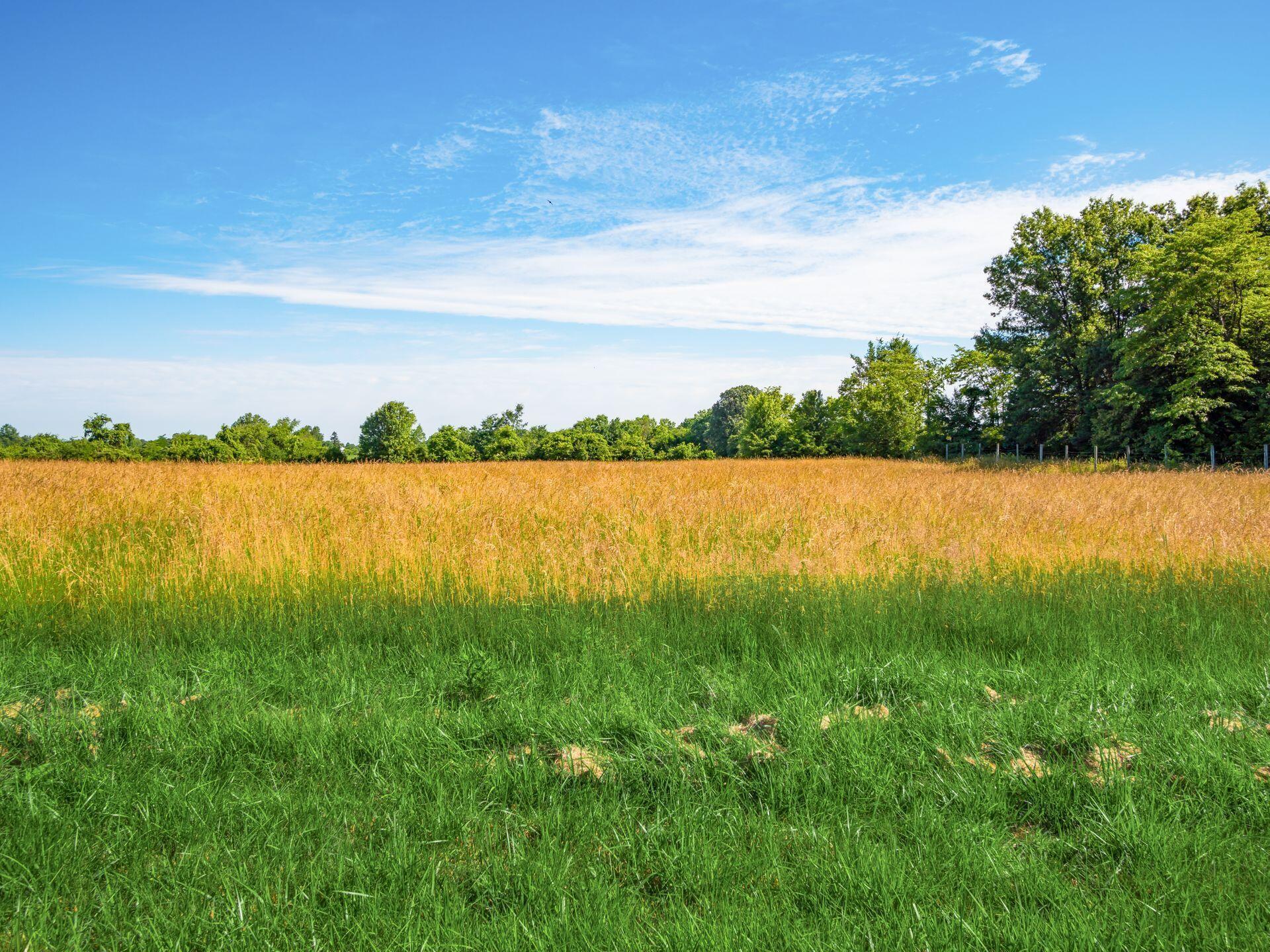 3141 Hollenback Road Lewis Center, OH 43035 - Photo 77 of 111 fenced pasture