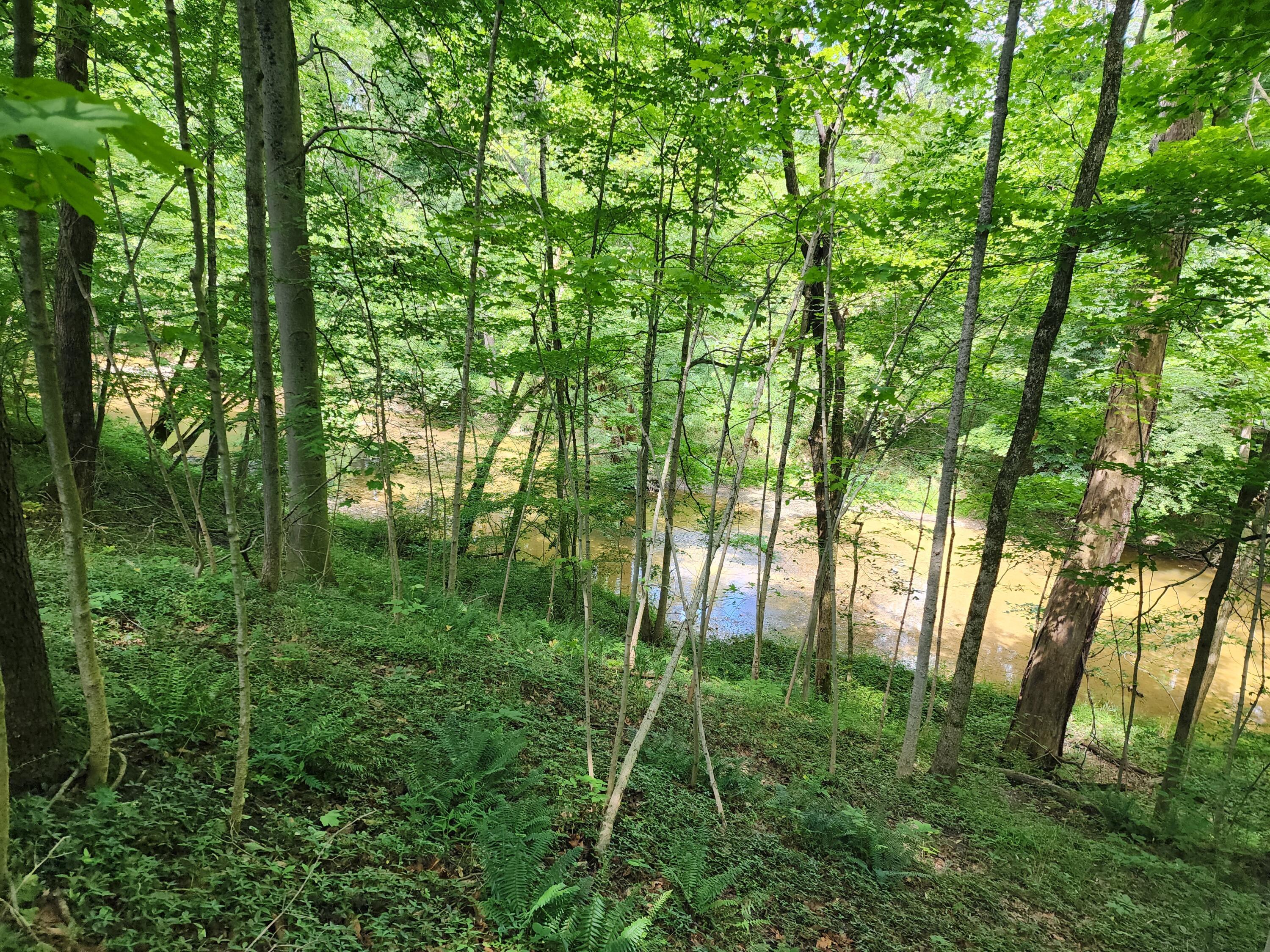 5120 Stetzer Road Bucyrus, OH 44820 - Photo 50 of 57 1000009833