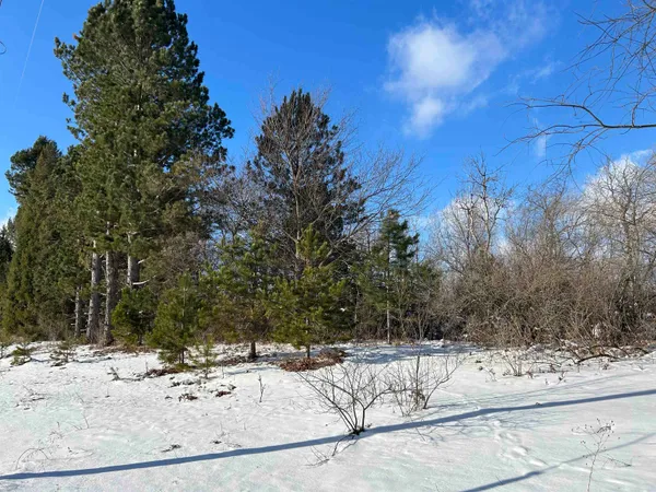 $90,000 | 0 Platte Road, Beulah, MI 49617