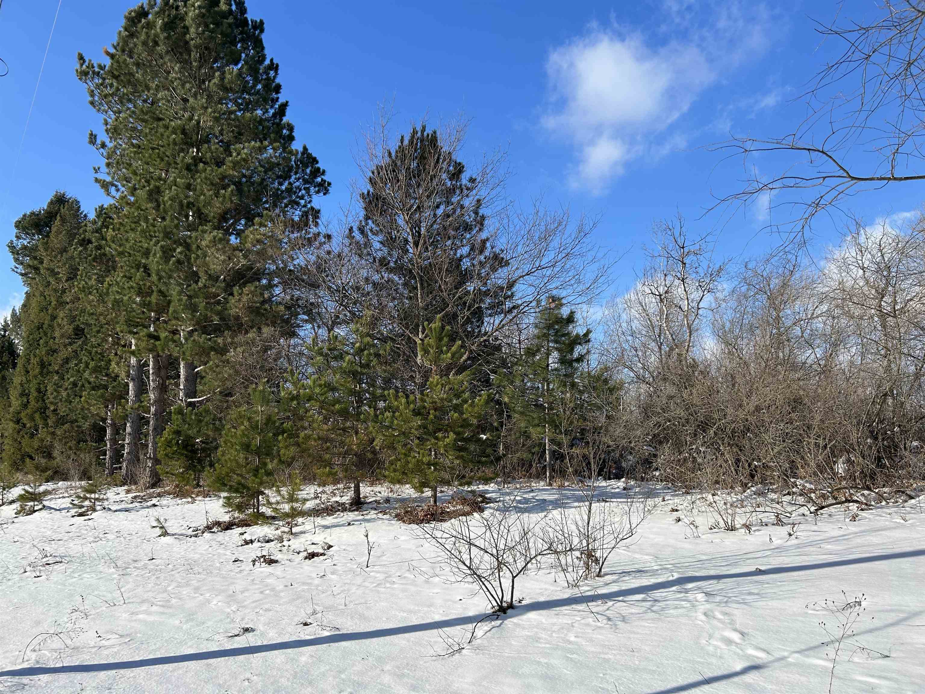 0 Platte Road Beulah, MI 49617 - Photo 1 of 7