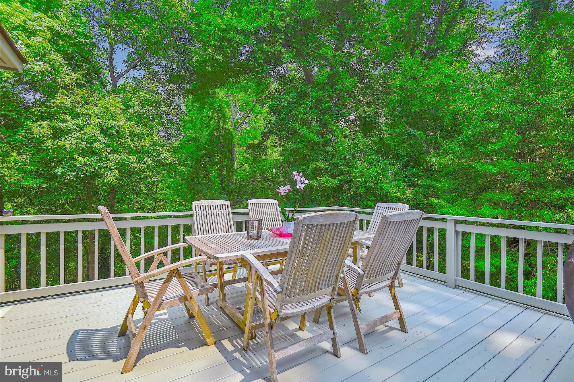 1441 Oak Bluff Road Edgewater, MD 21037 - Photo 40 of 86 Deck