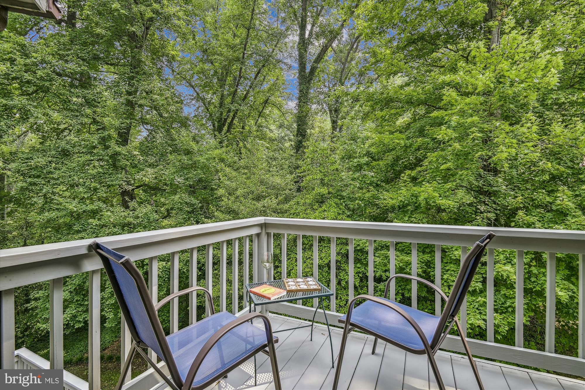 1441 Oak Bluff Road Edgewater, MD 21037 - Photo 66 of 86 Owner Suite Balcony