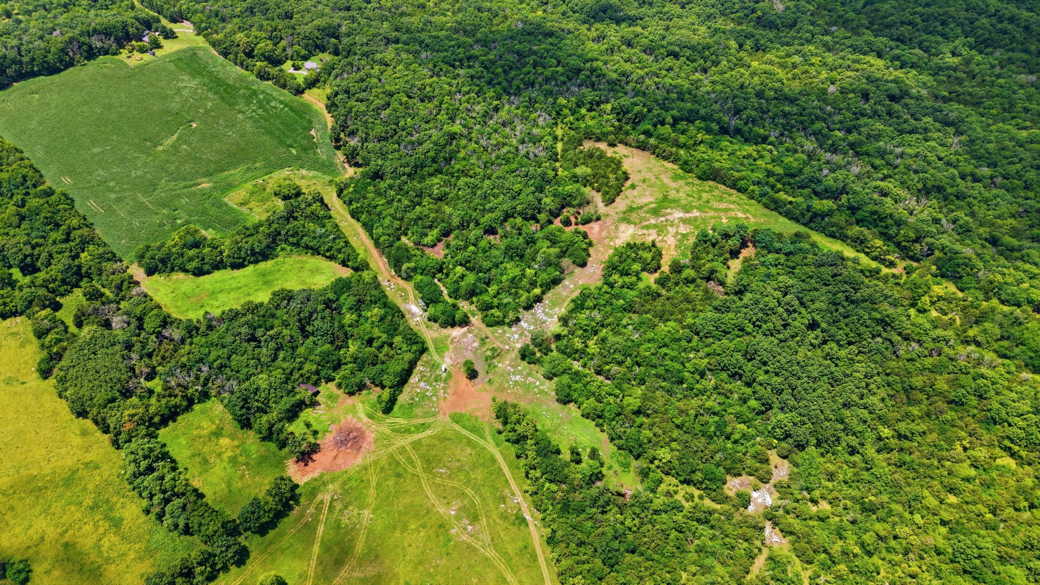 0 Pete Alsup Road Lascassas, TN 37085 - Photo 10 of 32