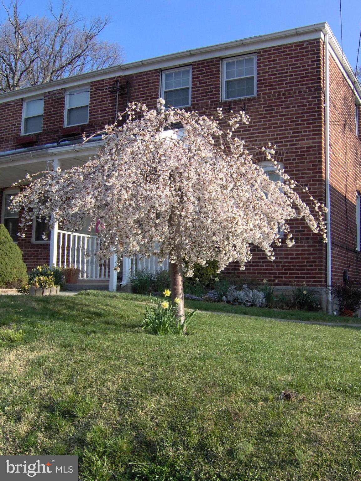1666 Mussula Road Towson, MD 21286 - Photo 21 of 21 a backyard of a house with lots of green space