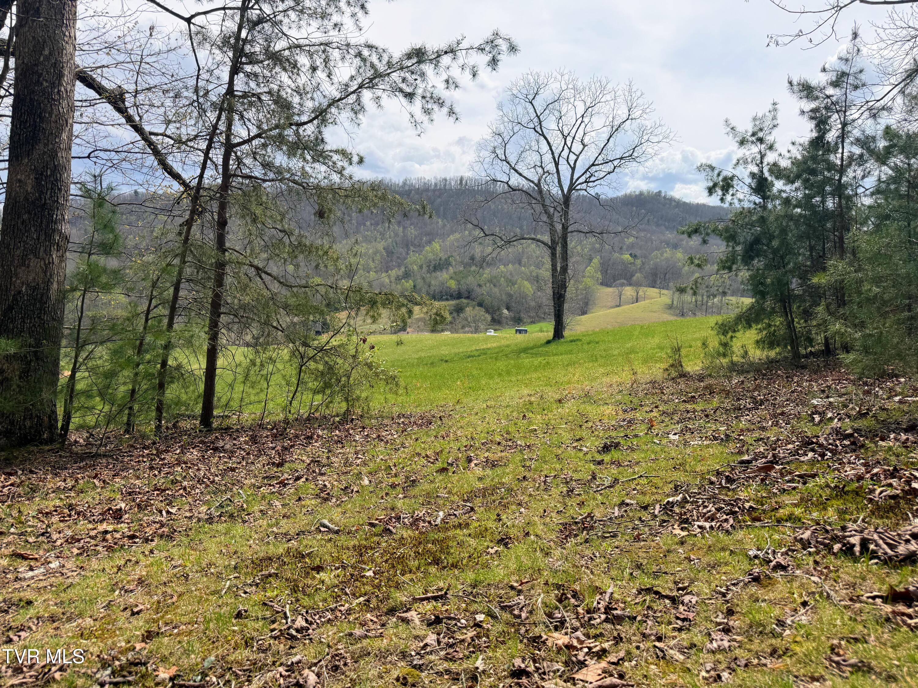 1b Rd Greeneville Tn 37743 Road Greeneville, TN 37743 - Photo 11 of 27 IMG_012