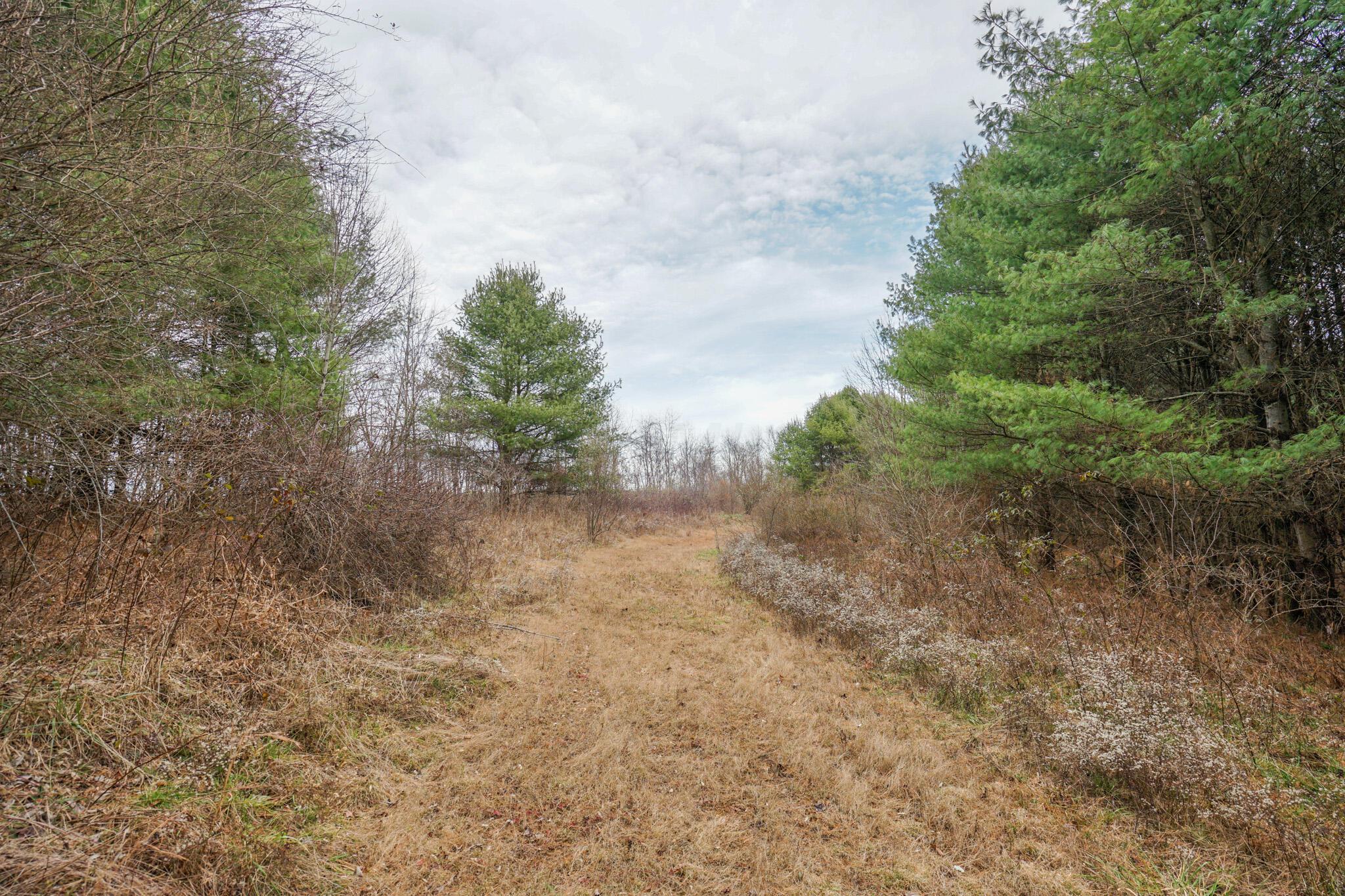 0 Fogle Road Caldwell, OH 43724 - Photo 24 of 42 DSC09908