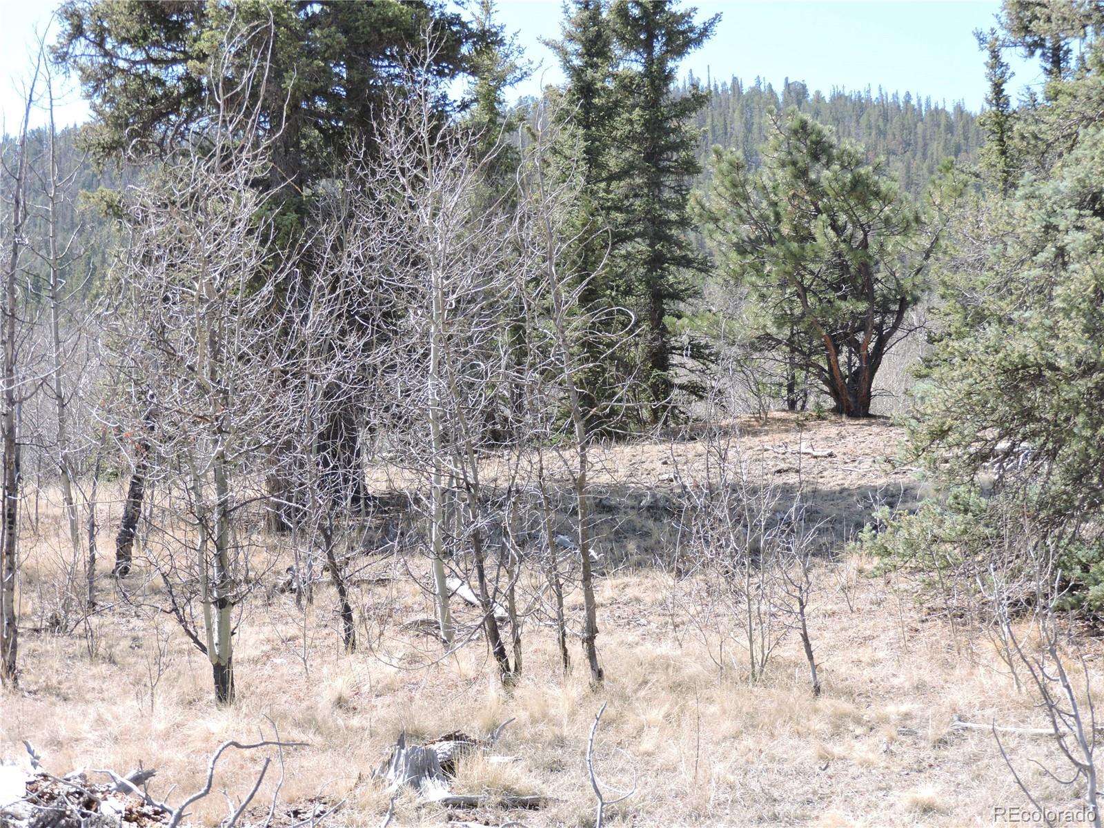 815 Nez Perce Road Como, CO 80456 - Photo 12 of 18 Gallery Image 12