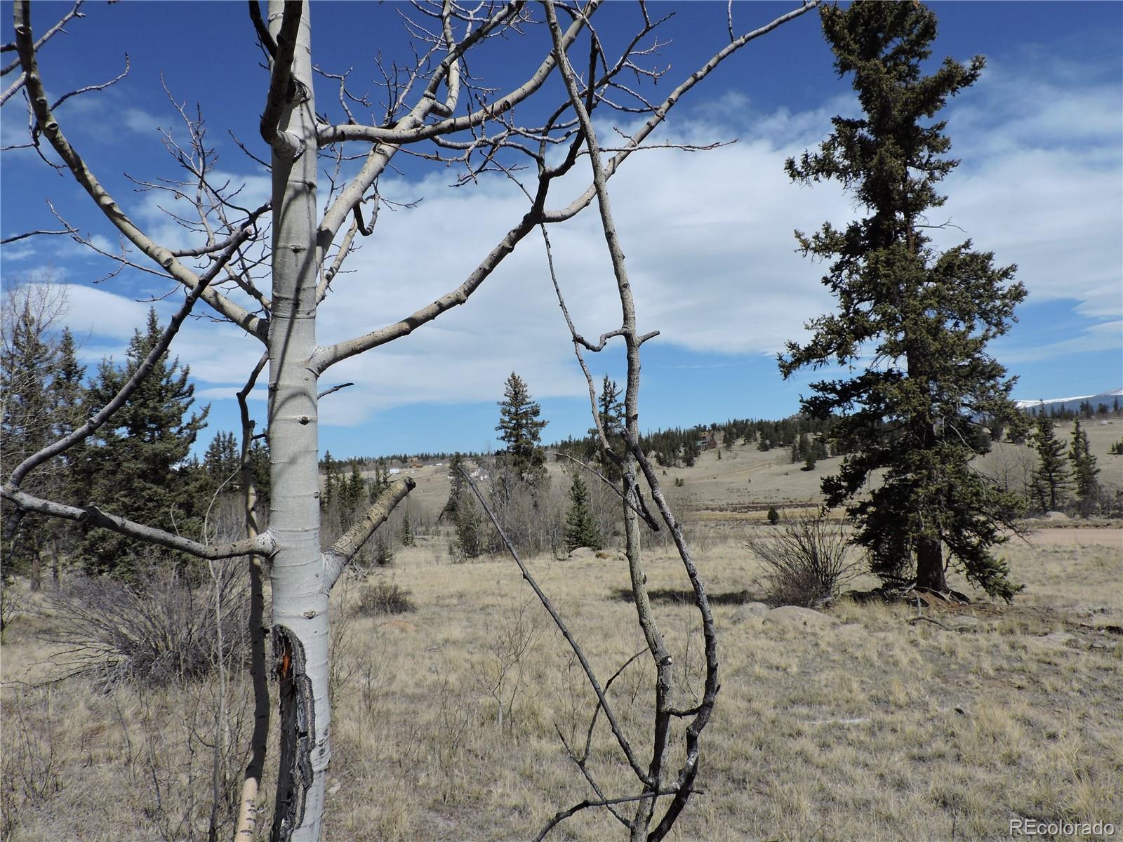815 Nez Perce Road Como, CO 80456 - Photo 13 of 18 Gallery Image 13