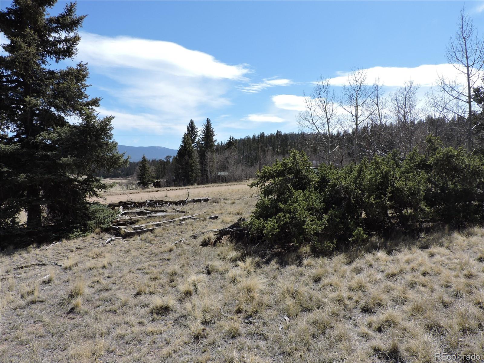 815 Nez Perce Road Como, CO 80456 - Photo 14 of 18 Gallery Image 14