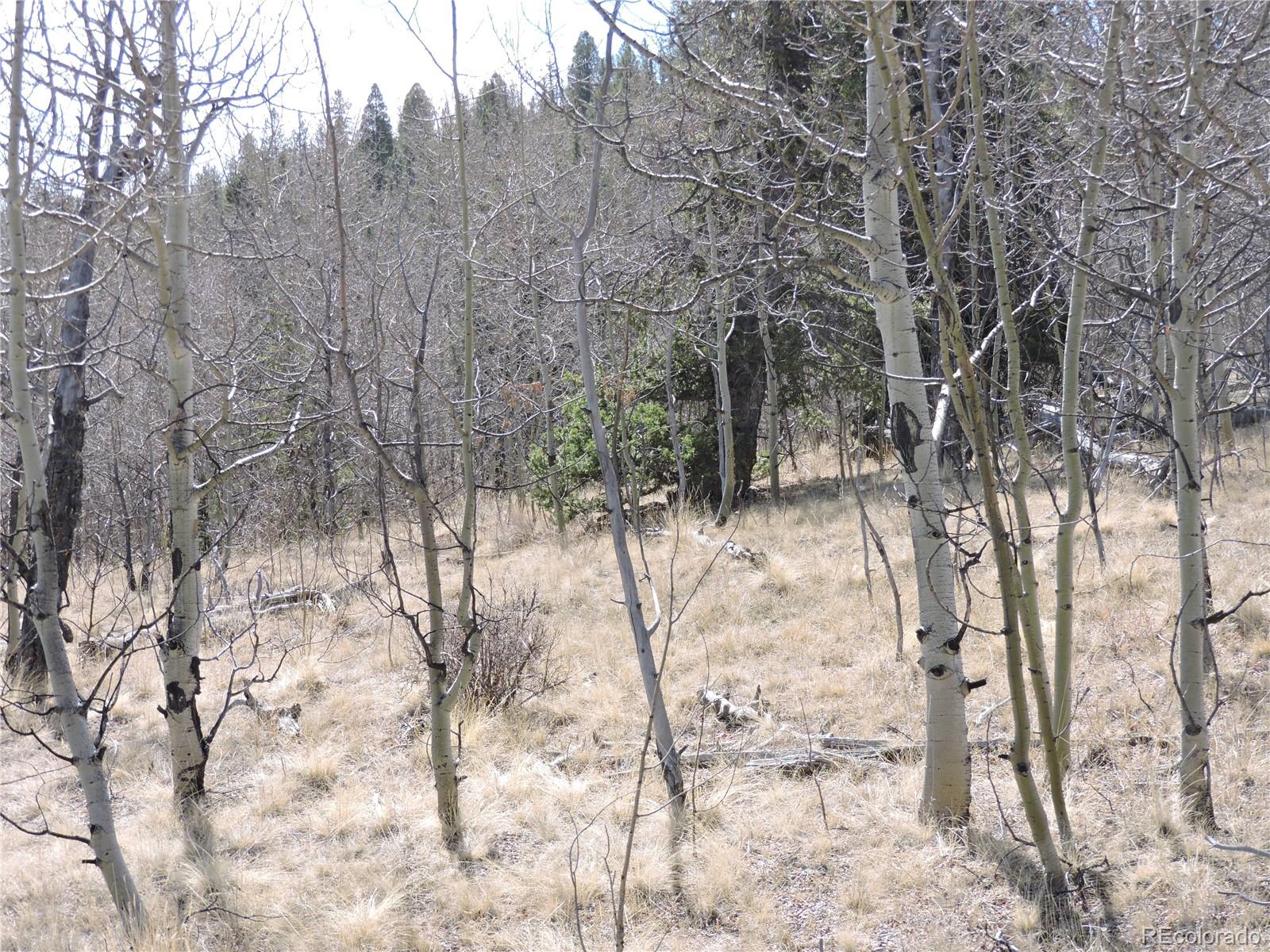 815 Nez Perce Road Como, CO 80456 - Photo 15 of 18 Gallery Image 15