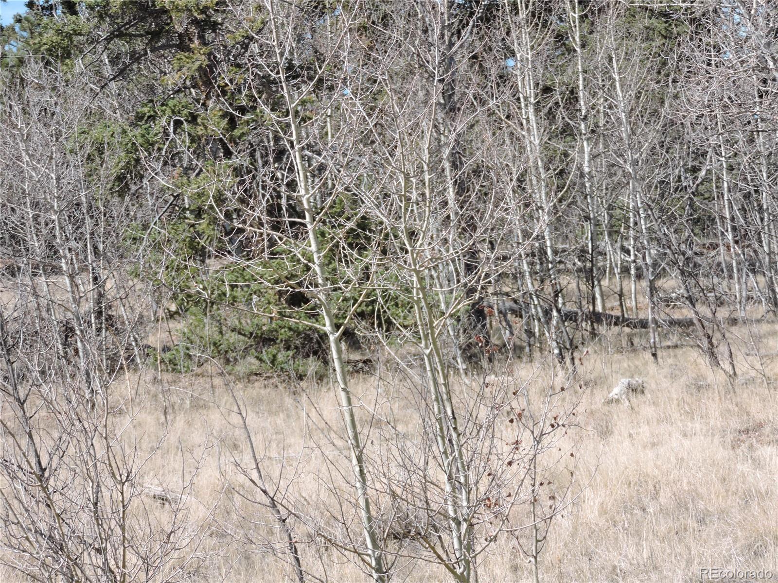 815 Nez Perce Road Como, CO 80456 - Photo 16 of 18 Gallery Image 16