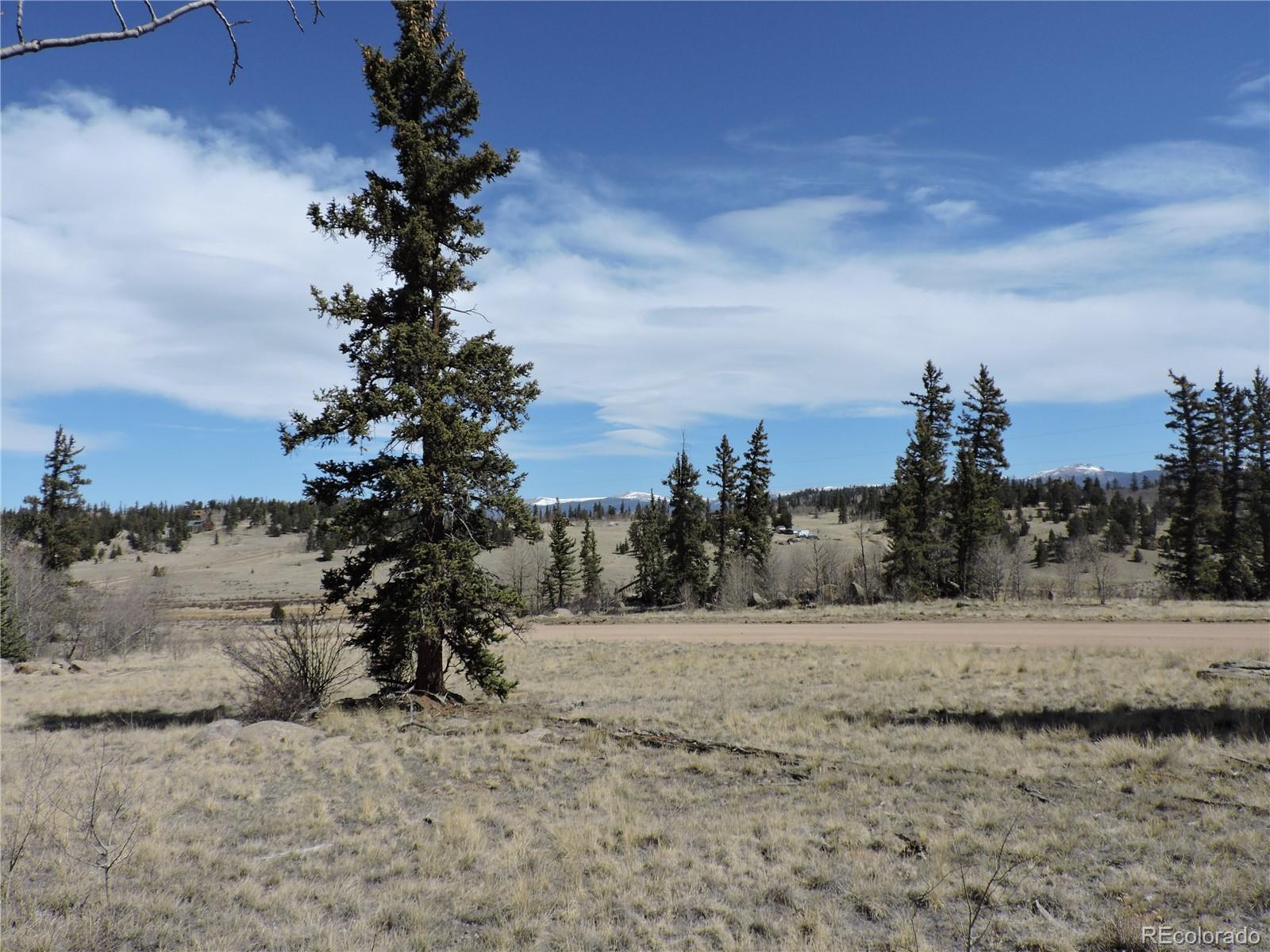 815 Nez Perce Road Como, CO 80456 - Photo 4 of 18 Gallery Image 4