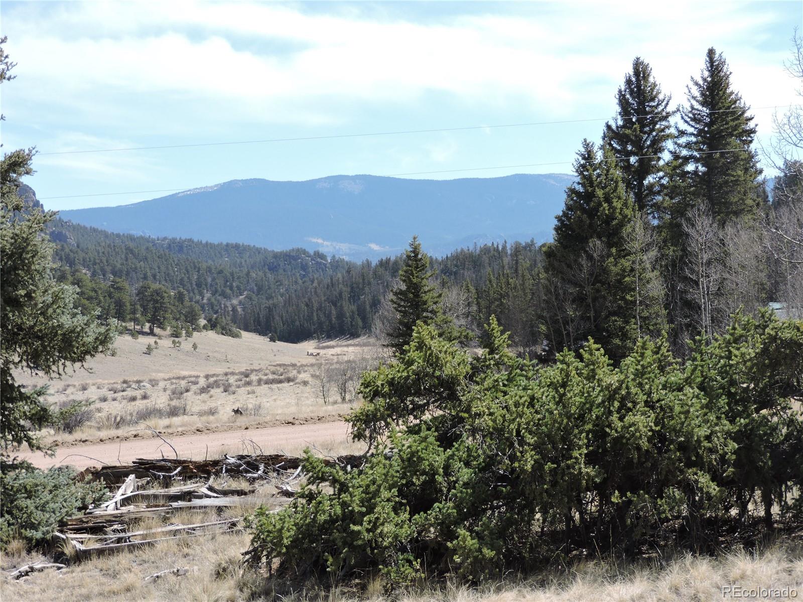 815 Nez Perce Road Como, CO 80456 - Photo 6 of 18 Gallery Image 6