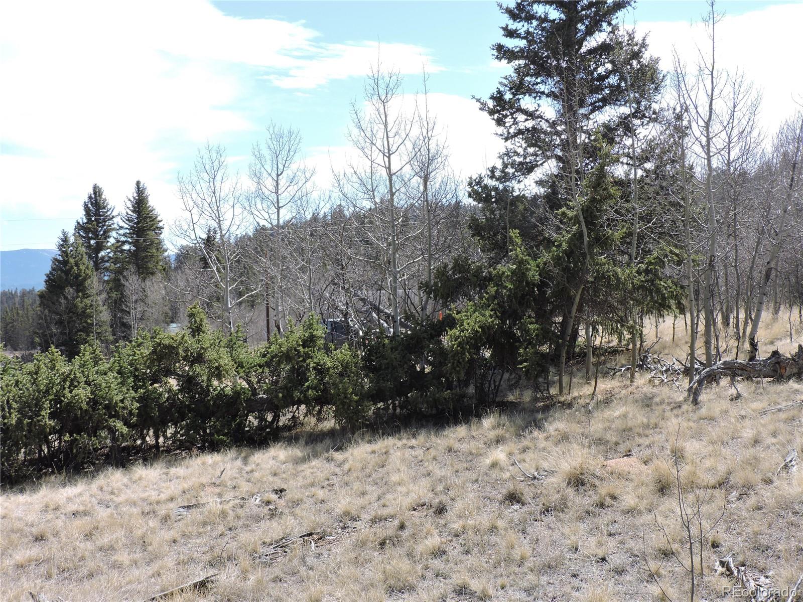 815 Nez Perce Road Como, CO 80456 - Photo 8 of 18 Gallery Image 8