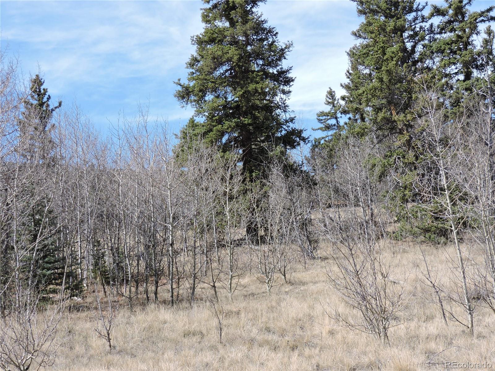 815 Nez Perce Road Como, CO 80456 - Photo 10 of 18 Gallery Image 10