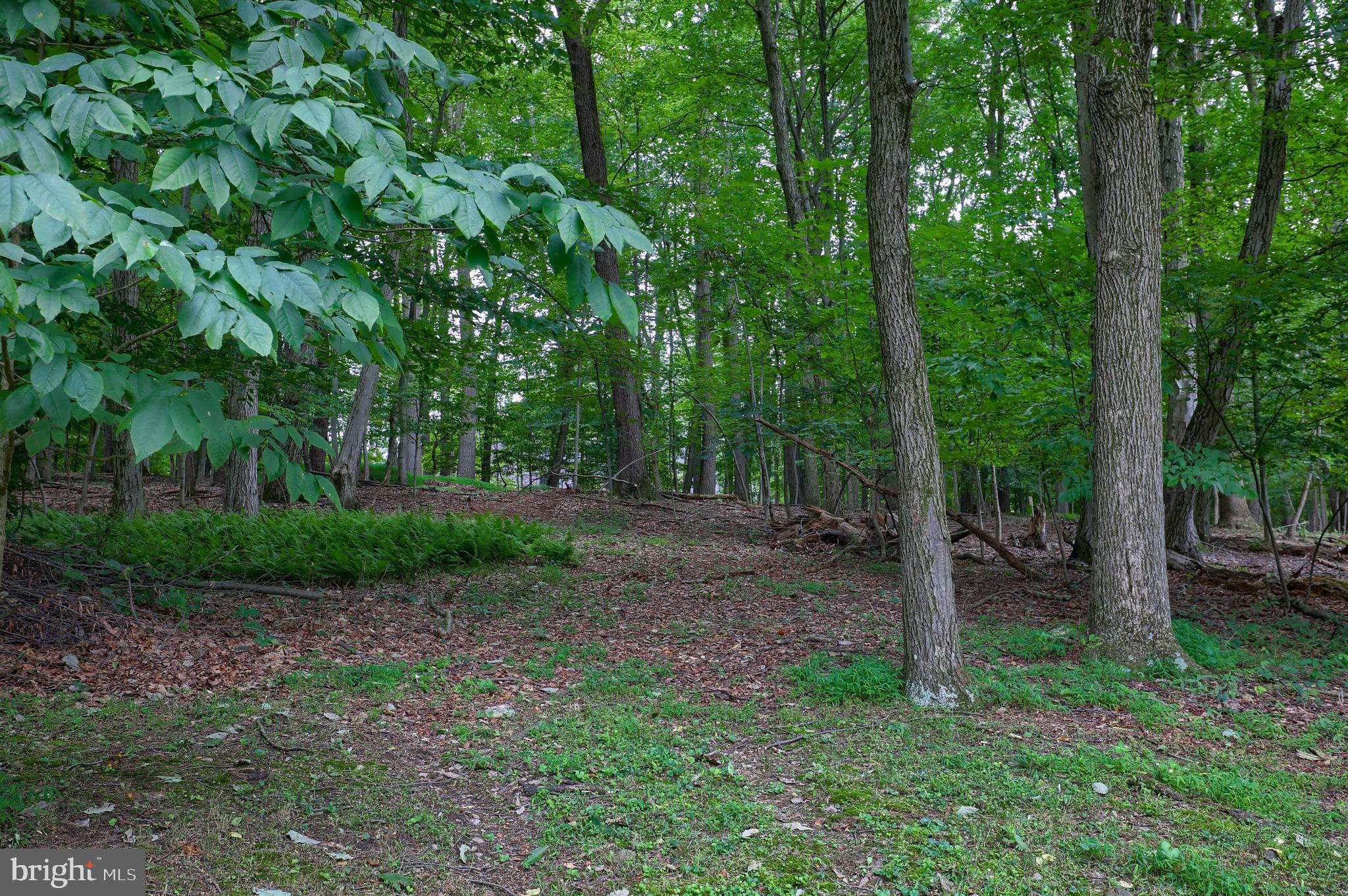 6252 River Road Conestoga, PA 17516 - Photo 5 of 27 Beautiful property