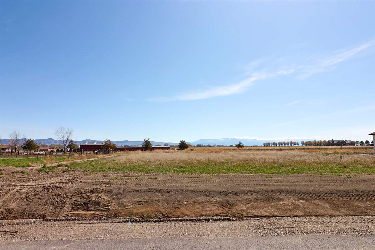 999 Farm House Road Grand Junction, CO 81505 - Photo 2 of 8 Gallery Image 2