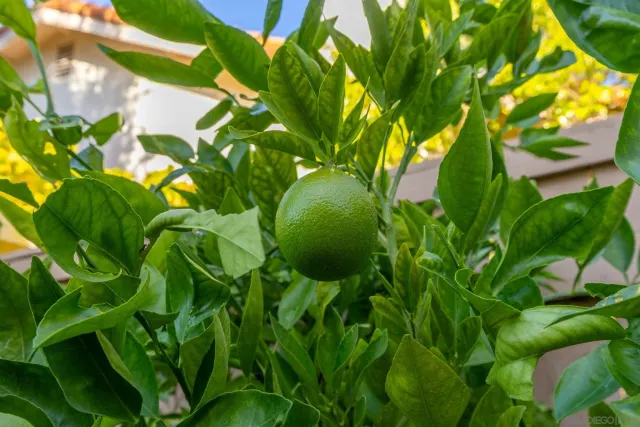 $999,900 | 1363 Timberpond Drive, El Cajon, CA 92019