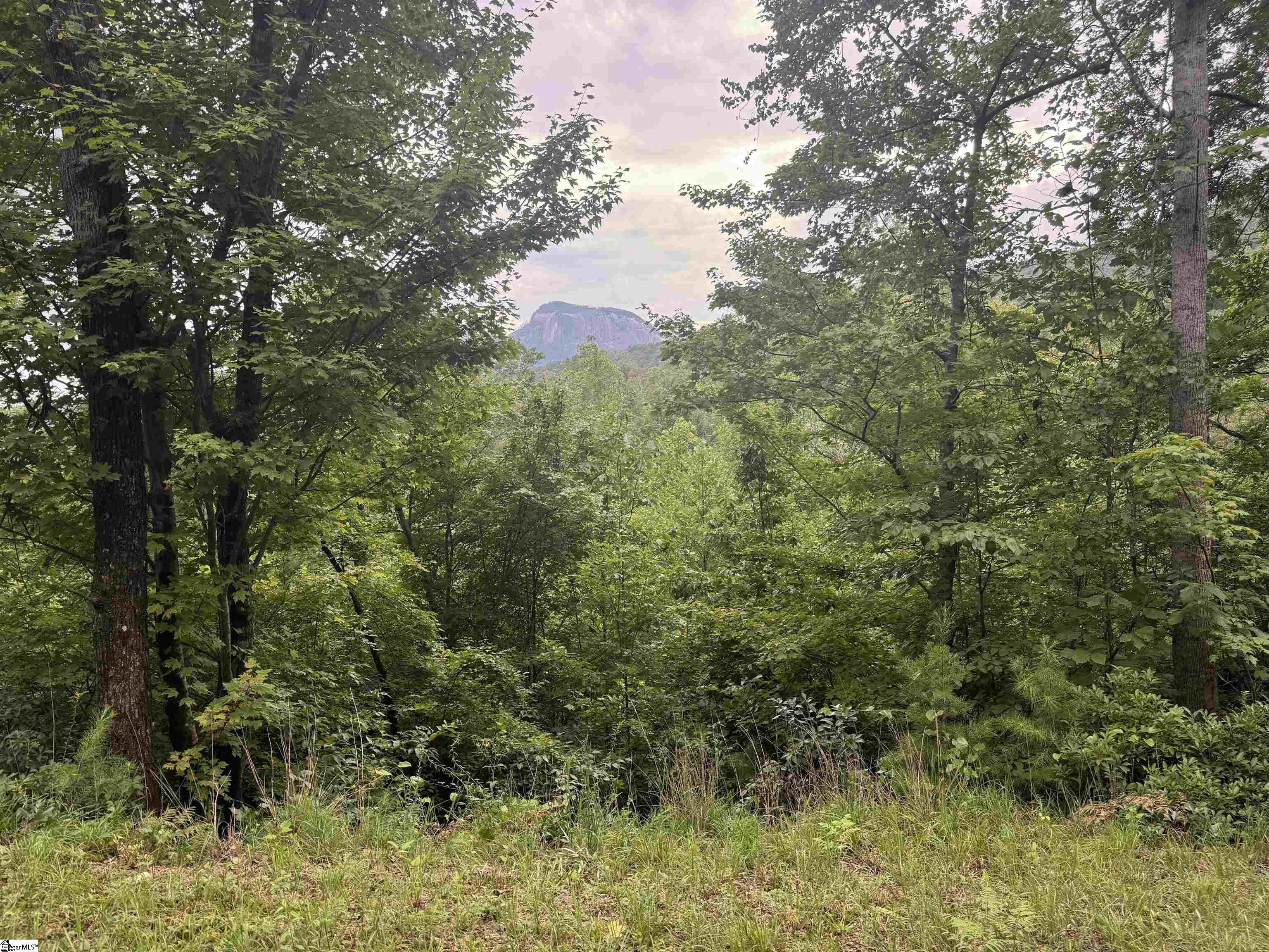 0 Table Rock Road Cleveland, SC 29635 - Photo 10 of 16