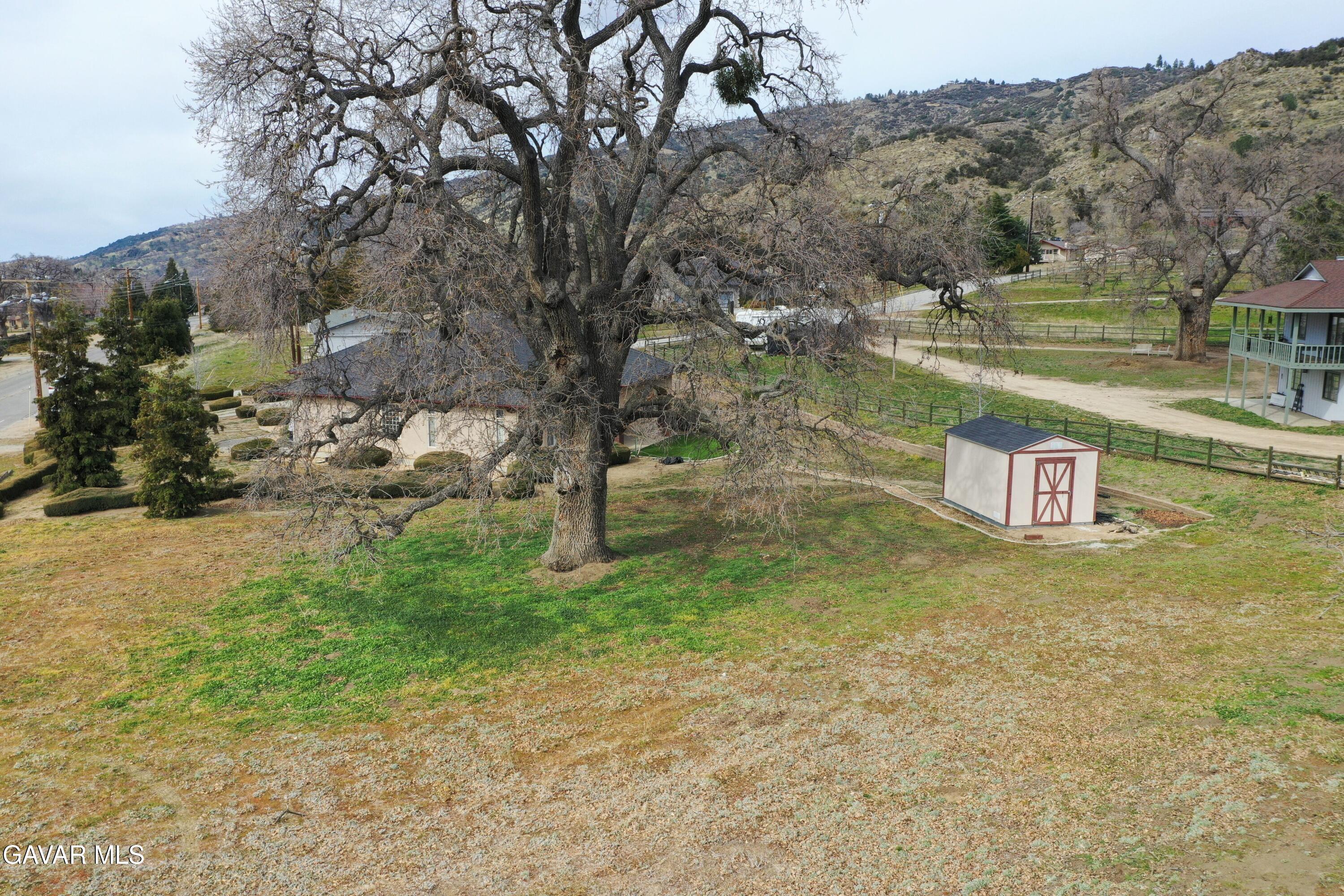 23780 Coyote Court Tehachapi, CA 93561 - Photo 4 of 48 a view of a yard with mountain