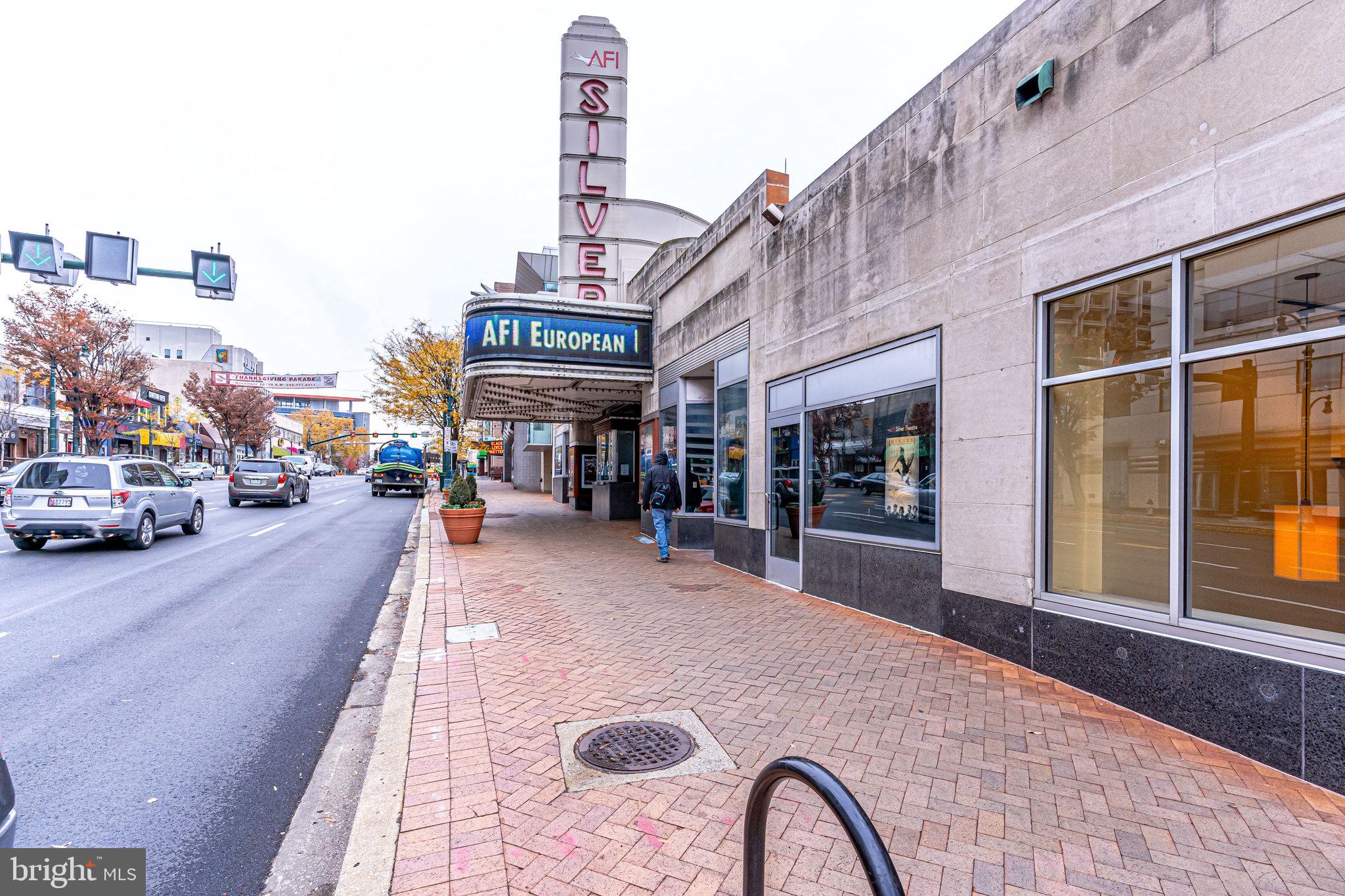 8517 Cameron Street Silver Spring, MD 20910 - Photo 43 of 45 Gallery Image 43