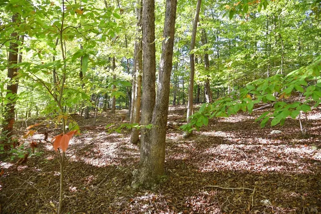 $129,000 | 75 Heron Pointe Drive, Gretna, VA 24557