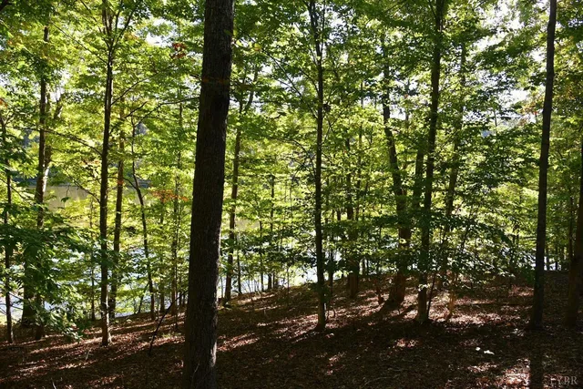 $129,000 | 75 Heron Pointe Drive, Gretna, VA 24557