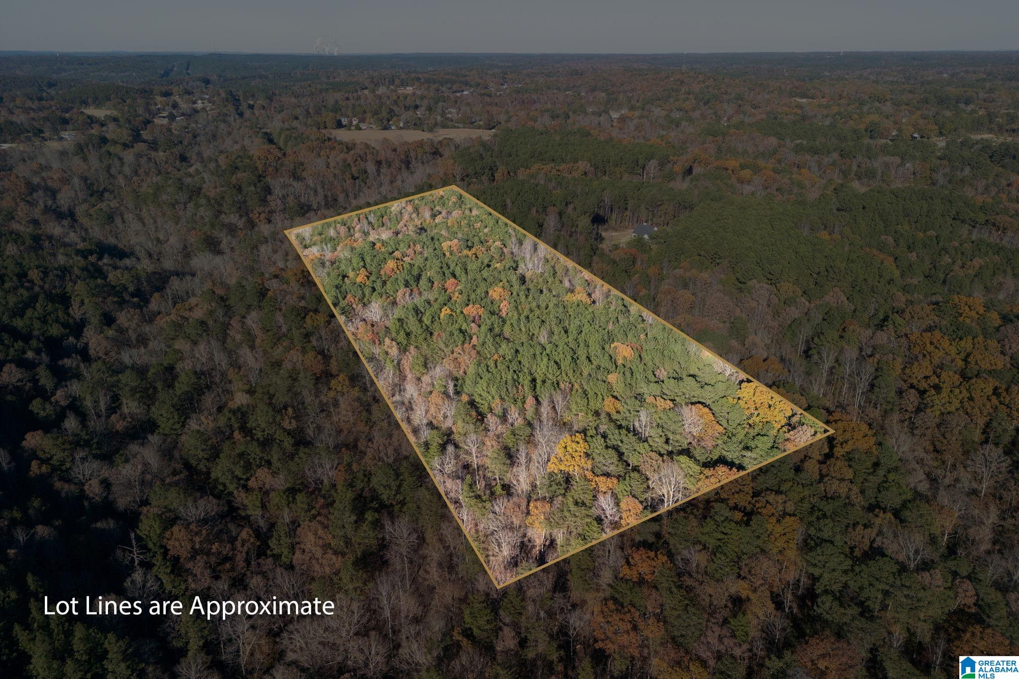 1575 Steve Crowder Road, Unit 1 Bessemer, AL 35023 - Photo 3 of 19 Gallery Image 3