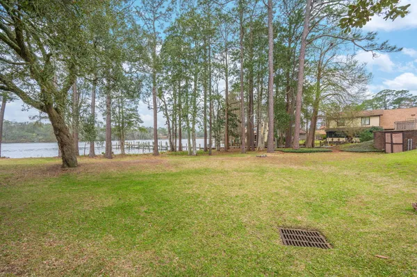 a view of yard with tree and trees