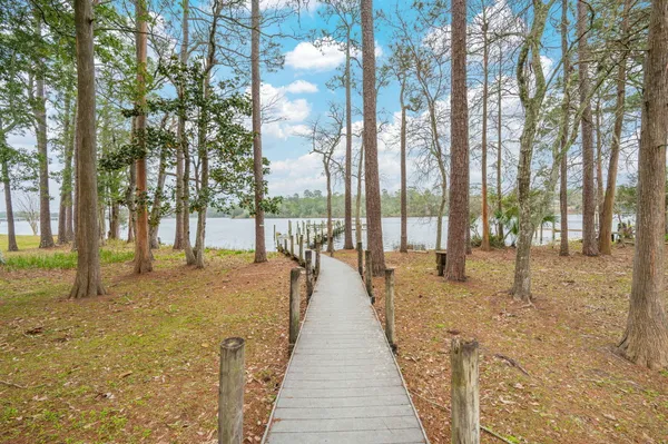 a view of swimming pool with trees in the background