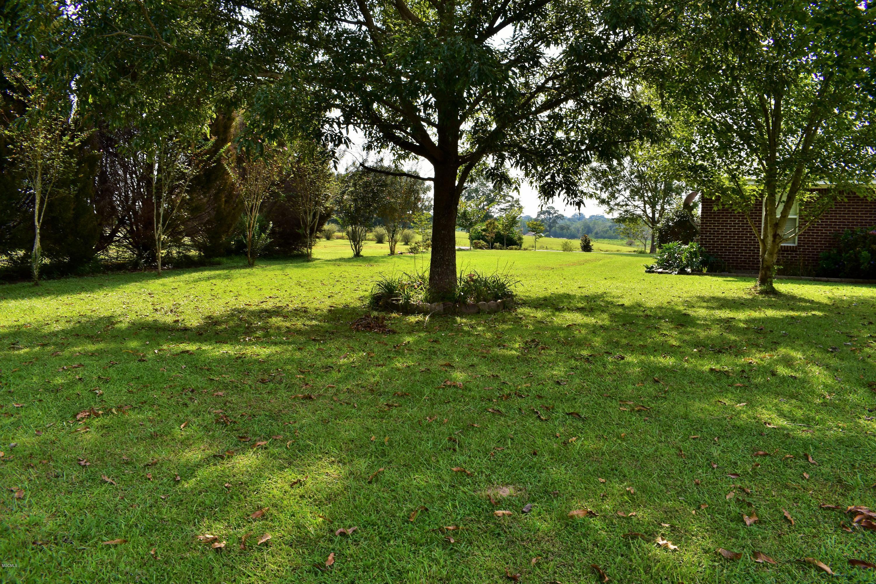 283 Holland Road Lucedale, MS 39452 - Photo 37 of 45 DSC_0960