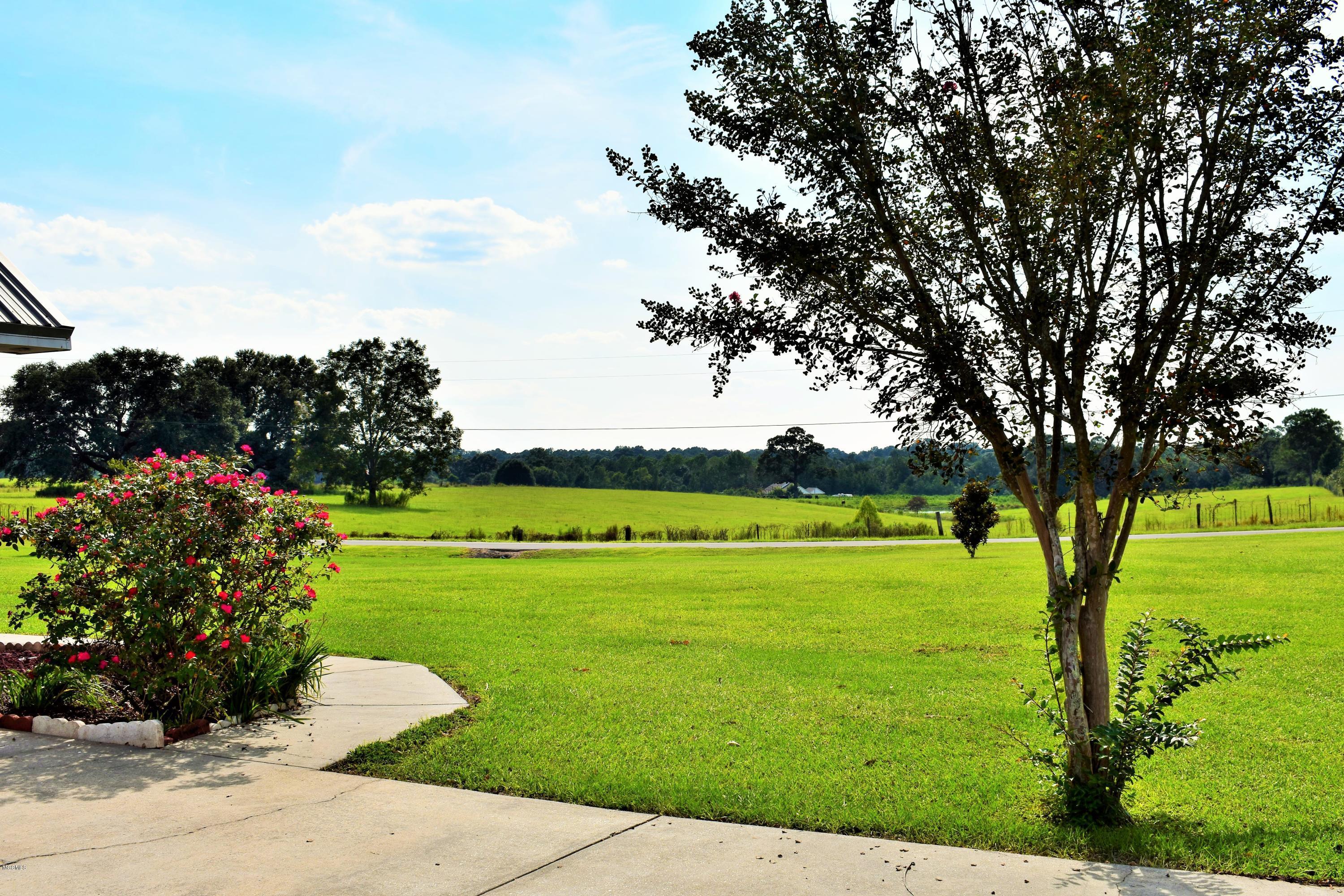 283 Holland Road Lucedale, MS 39452 - Photo 45 of 45 DSC_0971