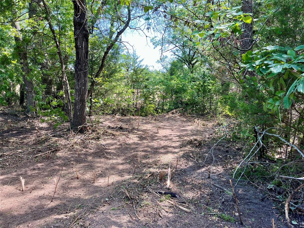 Tbd Tbd Tx-160, Unit OF Whitewright, TX 75491 - Photo 11 of 24 a view of a forest with trees in the background