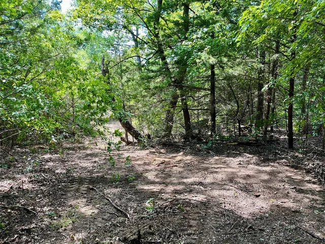 a view of outdoor space and trees