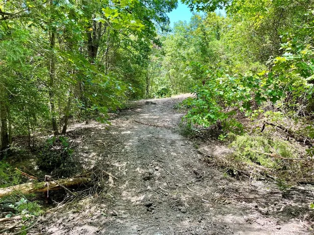 a backyard of a house