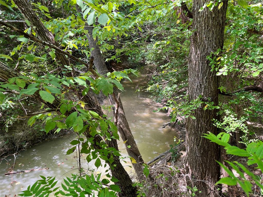 Tbd Tbd Tx-160, Unit OF Whitewright, TX 75491 - Photo 17 of 24 a backyard of a house