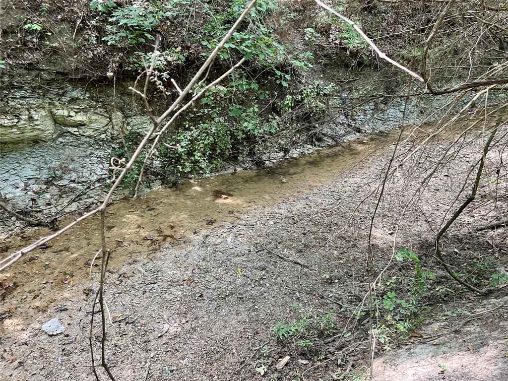 Tbd Tbd Tx-160, Unit OF Whitewright, TX 75491 - Photo 19 of 24 a backyard of a house with lots of green space