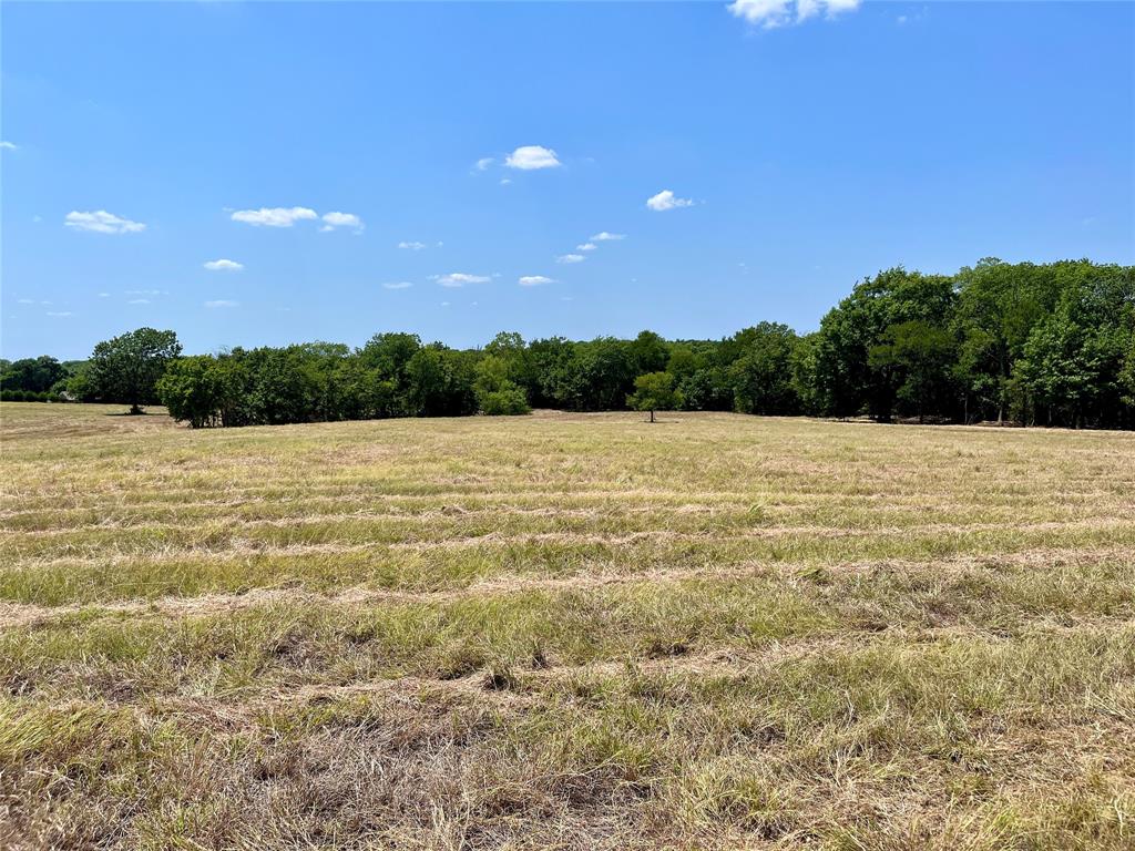 Tbd Tbd Tx-160, Unit OF Whitewright, TX 75491 - Photo 23 of 24 a view of lake with trees