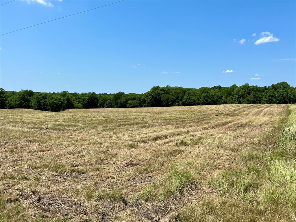 Tbd Tbd Tx-160, Unit OF Whitewright, TX 75491 - Photo 24 of 24 a view of lake with mountain view