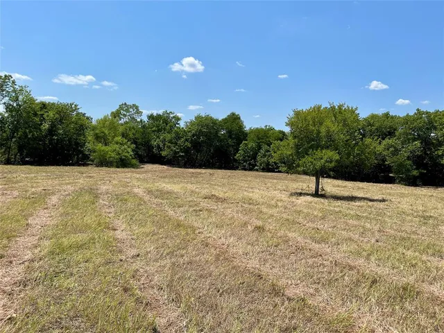 a view of outdoor space and trees
