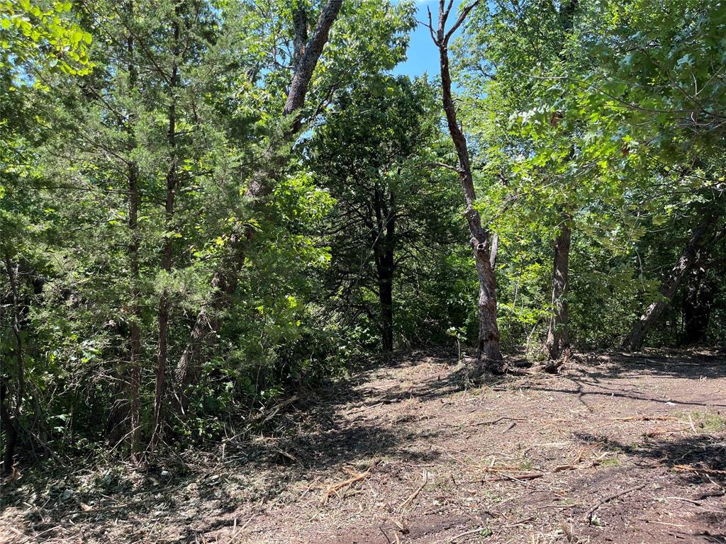 Tbd Tbd Tx-160, Unit OF Whitewright, TX 75491 - Photo 4 of 24 a view of outdoor space and trees